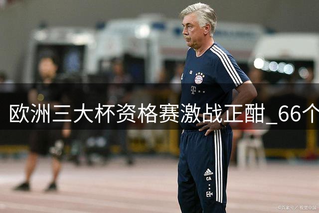 欧洲三大杯资格赛激战正酣 66个正赛席位花落谁家